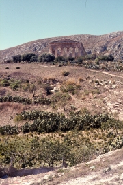 Approach to the Greek Temple