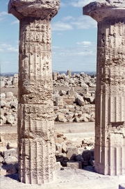 Greek temples at Selinute