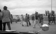 Crowd