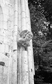 Gargoyle, Jumieges Abbey