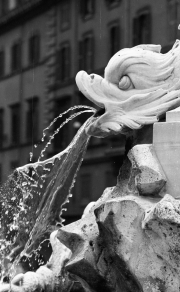 Fountain fish