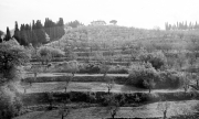 View from the coach