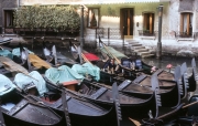 Gondolas in the Bacino