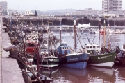 Fishing boats