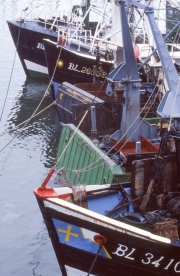 Bows of fishing boats
