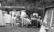 Family gathering