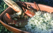 Lobster, from the takeaway