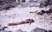Asleep on the beach