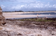 Letty at low tide