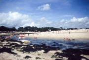 Letty at low tide