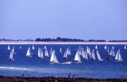 Regatta in Letty bay
