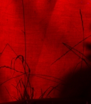 Grass through the tent wall