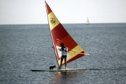 Windsurfer and dog