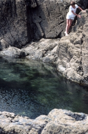 Rock pool