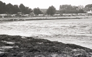 Tide at Letty