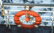 Lifebelt
