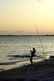Lone fisherman, evening