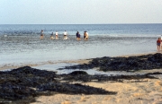 Wading through the ride race