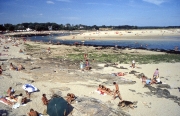 Letty at low tide