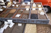 Benodet Market - herbs