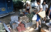 Benodet Market - garlic