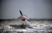 Airborne windsurfer