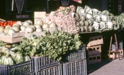 Vegetable stalls