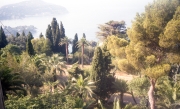Jardin Exotiques