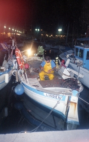 Fisherman