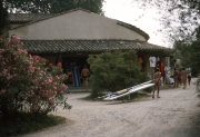 The site shop