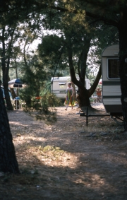 Greta walking through the trees