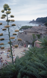 View above the beach
