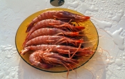 Giant prawns