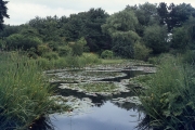 Burnby Hall Gardens