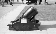 Cannon