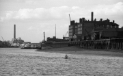 Sculler