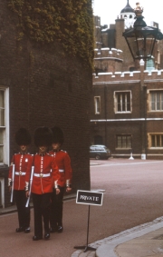 Sentry picket