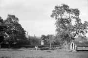 Farm, maybe Heathencote in Towcester