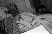 Greta