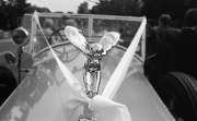 Rolls-Royce at a wedding