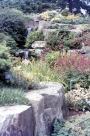 THE ROCK GARDEN, KEW