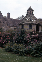 THE DOVECOTE AND CAMELLIAS
