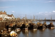 Herring fleet