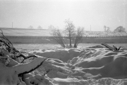 Towards the lake