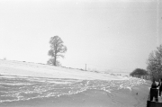 Field