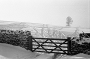 Gate