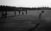 Ladies Cricket