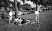 Ladies Cricket