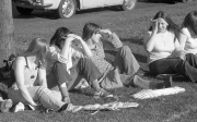Ladies Cricket