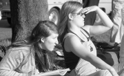 Ladies Cricket